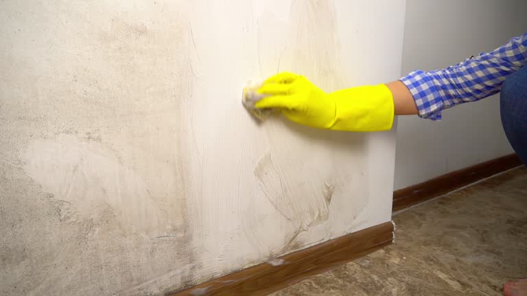 Best Attic Mold Removal  in Lakeview, OR