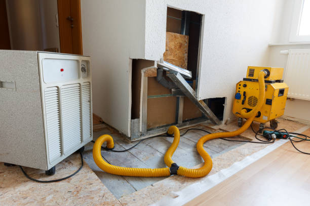 Best Dehumidification Services  in Lakeview, OR