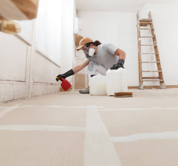Mold Odor Removal Services in Lakeview, OR