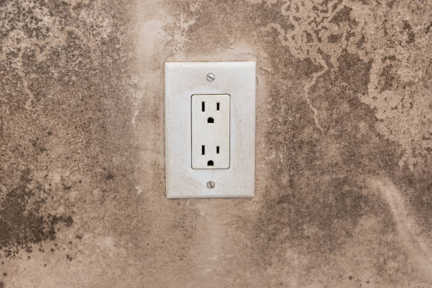  Lakeview, OR Mold Removal Pros
